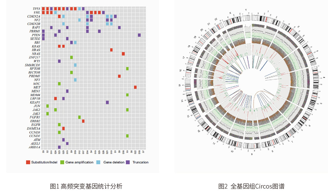 全基因组重测序