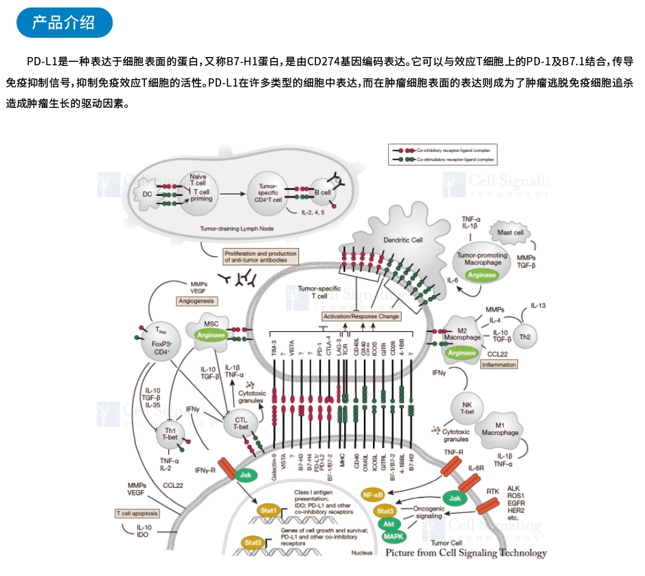 产品介绍.jpg