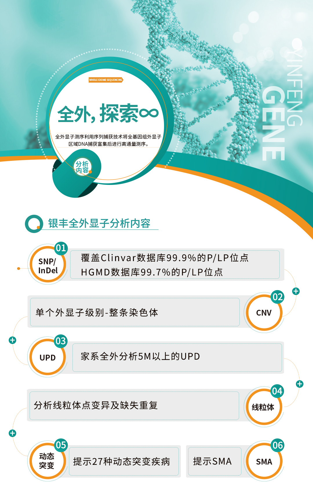 全外显子-基因版本_01.png