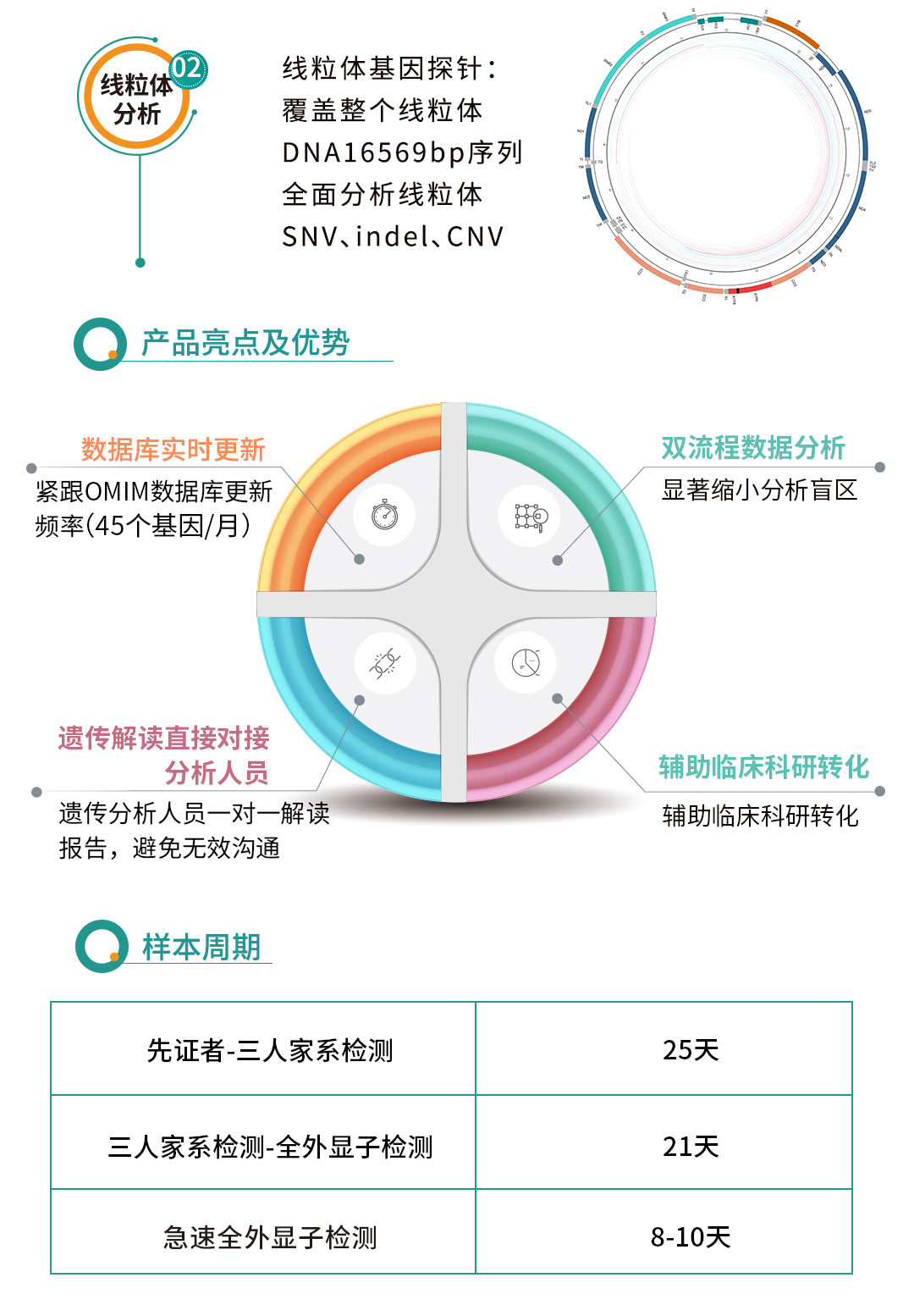 全外显子-基因版本_03.png